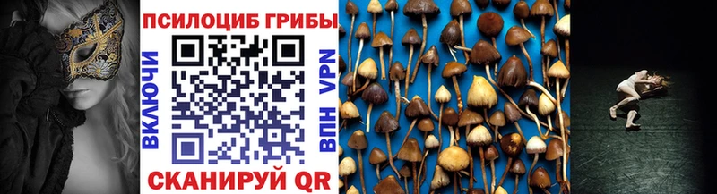 Купить закладки  Багратионовск  Галлюциногенные грибы прущие грибы 